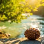 पंचमुखी रुद्राक्ष के लाभ: आध्यात्मिक और स्वास्थ्य संबंधी लाभ